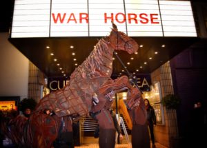 War Horse_Curzon