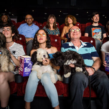 York cinema to host dog- friendly screening | York Press